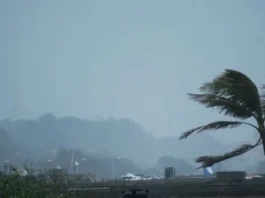 દેશમાં હવામાનની 3 સિસ્ટમ એક સાથે સક્રિય ભારે પવન સાથે વરસાદની આગાહી