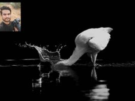 નખત્રાણાના દેવાંગ સોનીએ ફોટોગ્રાફીમાં વિશ્વ સ્તરે નામ ગજવ્યું