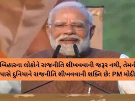 5-6 રાજ્યોમાં કોંગ્રેસના જેટલા MLA જીત્યા, તેટલા તો એકલા અમારા બિહારમાં જીત્યા છે: PM મોદી