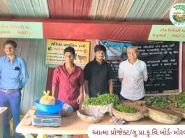 નારણકાના ખેડૂત દ્વારા મોરબીમાં પ્રાકૃતિક કૃષિ ઉત્પાદનોની સરળ વિતરણ વ્યવસ્થા કરાઈ