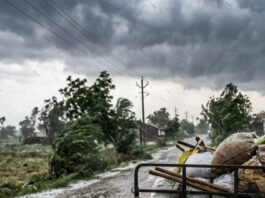 કમોસમી વરસાદથી સૌરાષ્ટ્રમાં ભારે નુકસાન : પીડિતોને વળતર આપવા સરકારને રજૂઆત