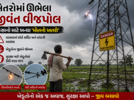 ખેતરોમાં ઊભેલા જીવંત વીજપોલ બન્યા ખેડૂતો માટે મોતનો ખતરો